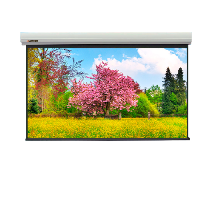 

Экран для видеопроектора Lumien Master Large Control LMLC-100103A 225", Master Large Control