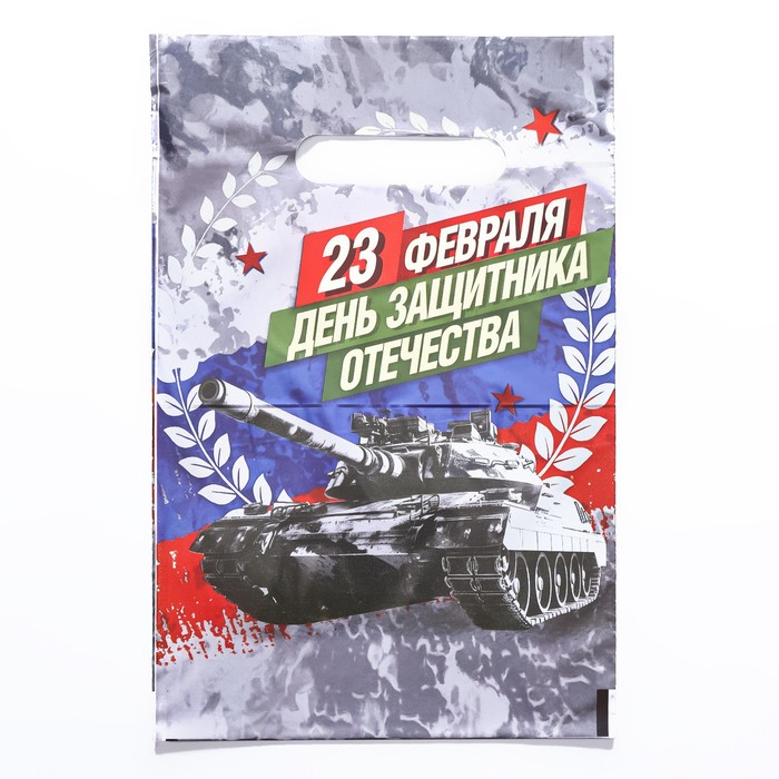 

Пакет "День Защитника Отечества", полиэтиленовый с вырубной ручкой, 20х30 см, 30 мкм (50 ш, Разноцветный