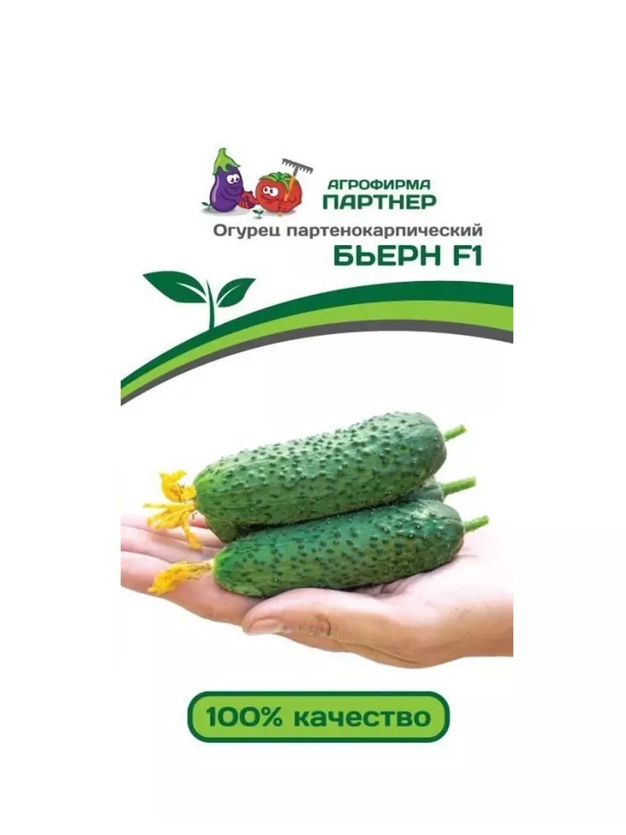 

Семена огурец Бьерн F1, Агрофирма Партнер, art0015-psams4158, 1шт