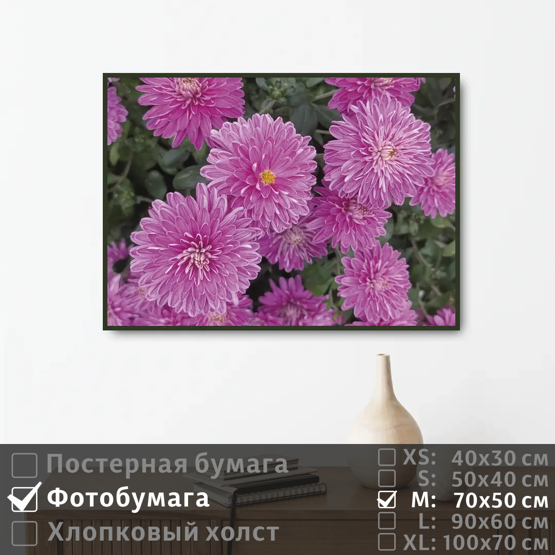 

Постер на фотобумаге ПолиЦентр Нежные хризантемы 70х50 см, НежныеХризантемы
