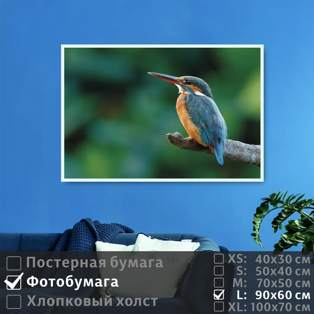 

Постер на фотобумаге ПолиЦентр Птичка на ветке 90х60 см, ПтичкаНаВетке