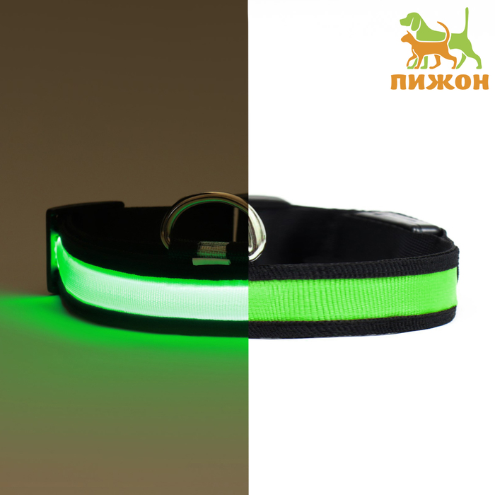 

Ошейник для собак Пижон с подсветкой Flash зеленый, пластик, 52-60 х 2,5 см, с подсветкой Flash