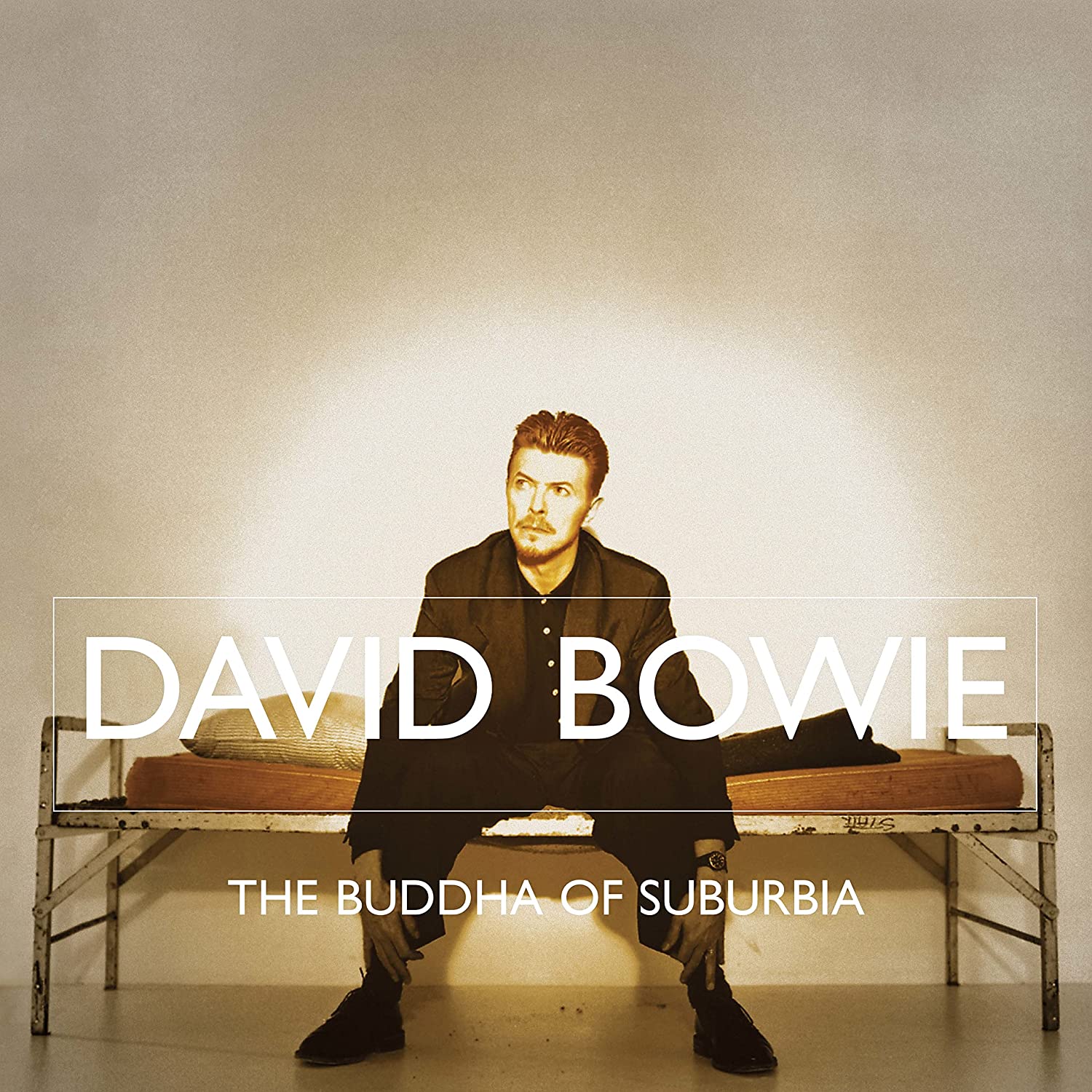 

David Bowie The Buddha Of Suburbia (2Винил)