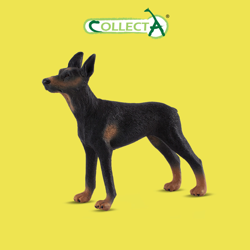 

Фигурка collecta доберман-пинчер , l (10,5 см)