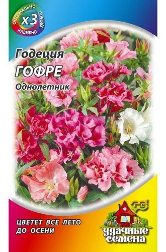 

Семена годеция Гавриш Гофре 1999949145 1 уп.