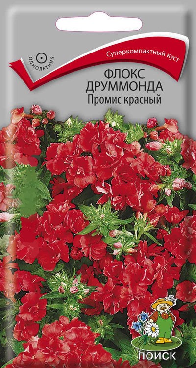 

Семена цветов Поиск 560940 Флокс друммонда Промис красный 10 шт.