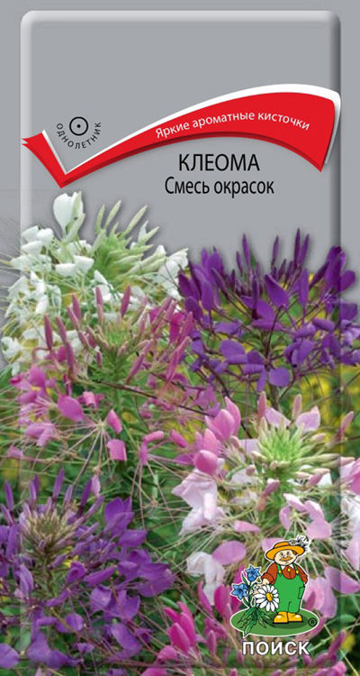 

Семена цветов Поиск 290537 Клеома Смесь окрасок 1 г
