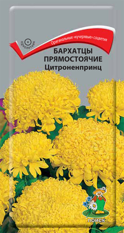 

Семена бархатцы Поиск Цитроненпринц 160547 1 уп.