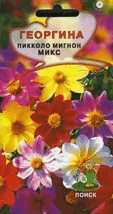 

Семена георгин Поиск Пикколо мигнон микс 200613 1 уп.