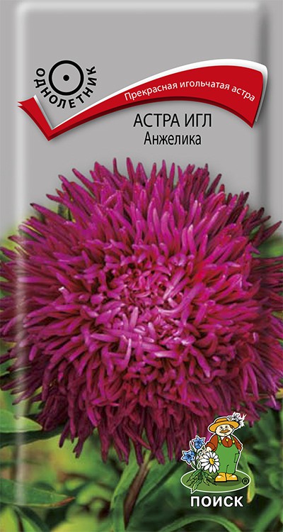 

Семена астра Поиск Анжелика 722471 1 уп.