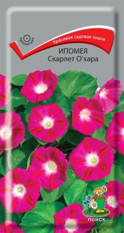 

Семена ипомея Поиск Скарлет о`хара 260487 1 уп.