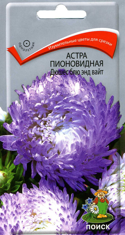 

Семена астра Поиск Дюшес блю энд вайт 150220 1 уп.