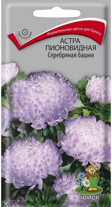 

Семена астра Поиск Серебряная башня 150271 1 уп.