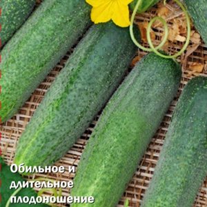 

Семена огурец Поиск Трапезный F1 735067 1 уп.