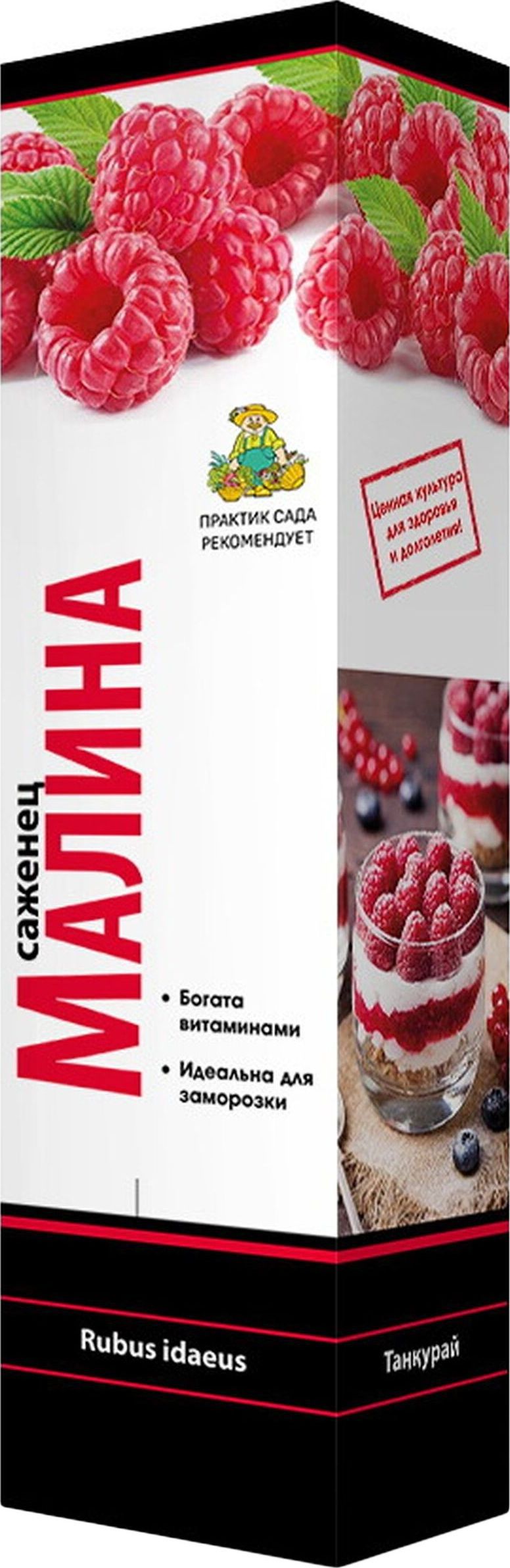 

Растение Малина Желтый гигант ПОИСК С1 Н37 ПОИСК 752892