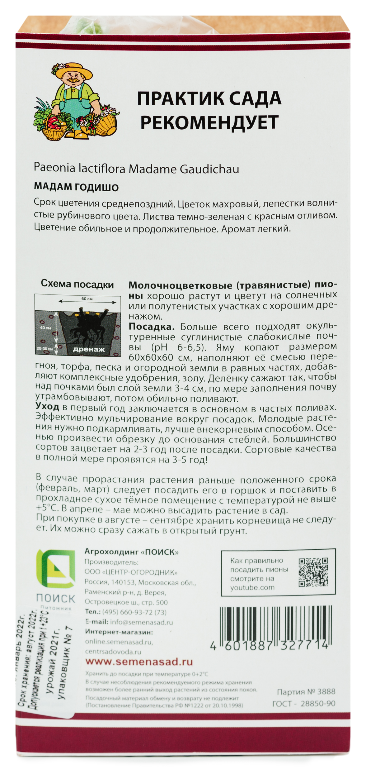 

Растение Пион Молочноцветковый Мадам Год 1 шт 797957