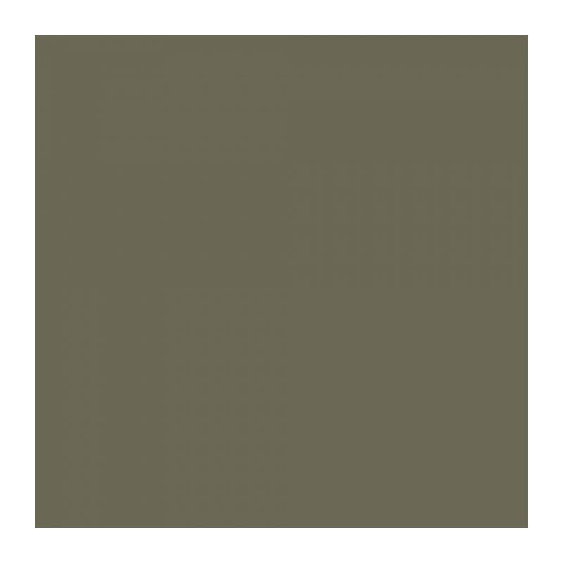 

Фон бумажный Falcon Eyes BackDrop 2.72x10 хаки (10)