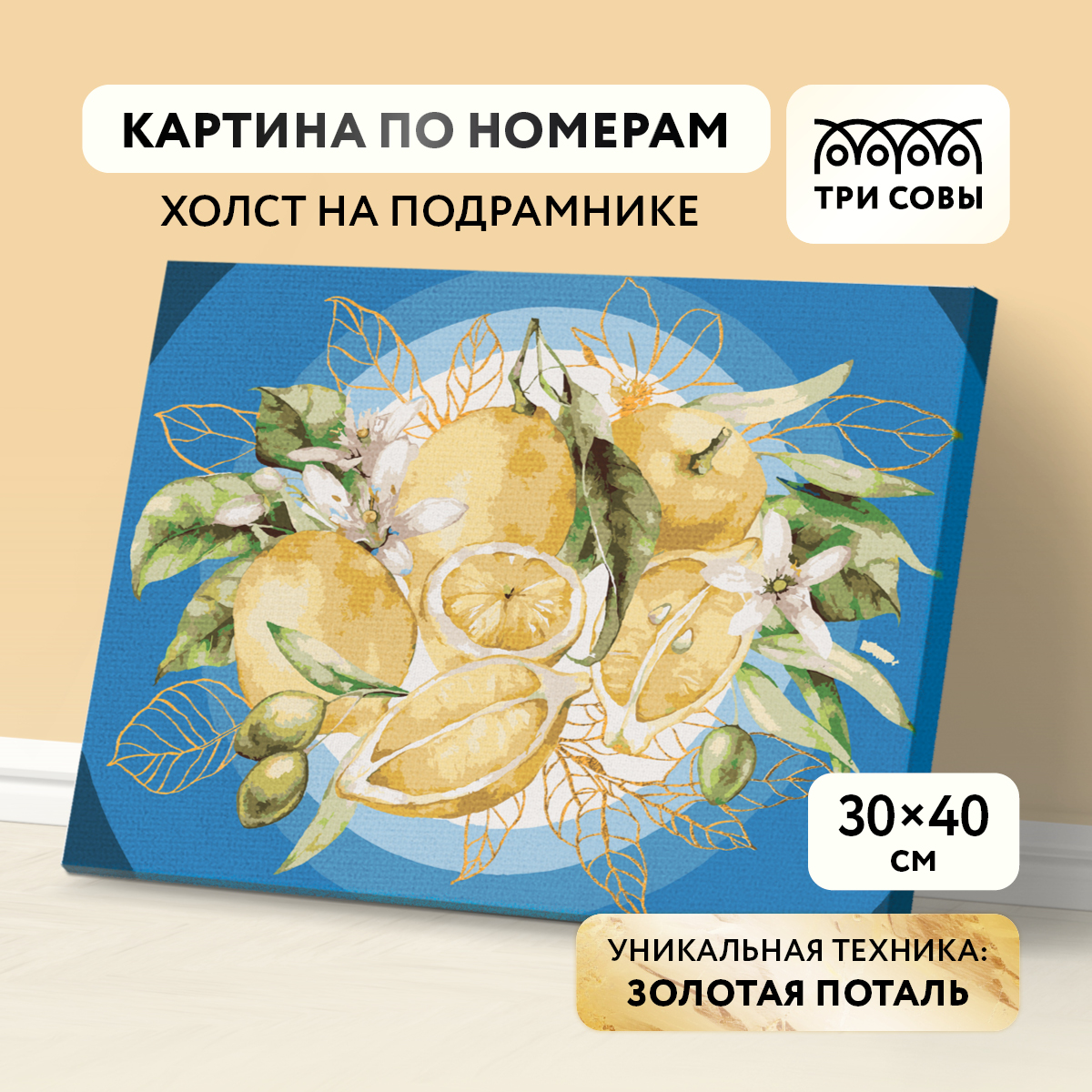 

Картина по номерам на холсте ТРИ СОВЫ Лимоны 30*40 с поталью акриловыми красками и кистями