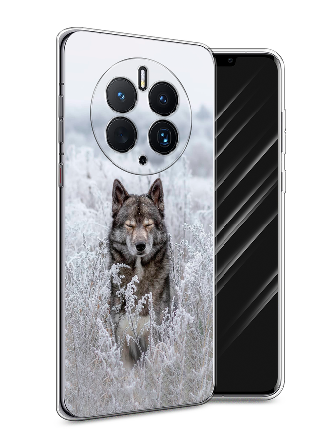 Чехол Awog для Huawei Mate 50 Pro 