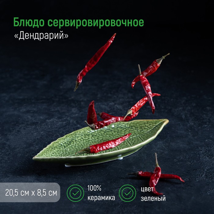 

Блюдо керамическое сервировочное "Дендрарий", 20,5х8,5х1,5 см, Зеленый