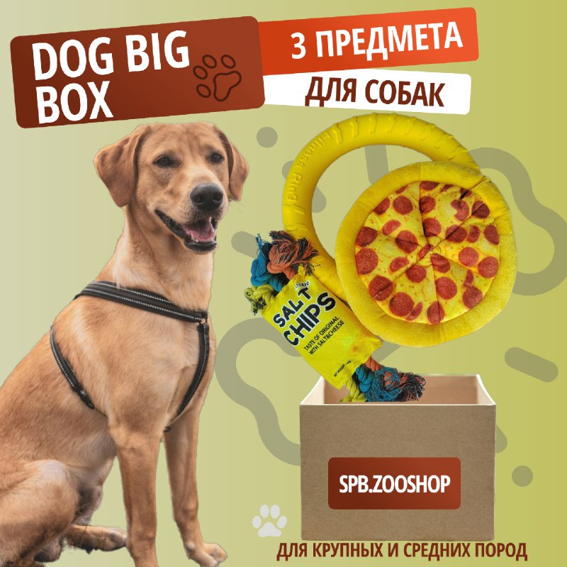 Набор игрушек для собак spbzooshop Dog Box в ассортименте 3 шт 1421₽