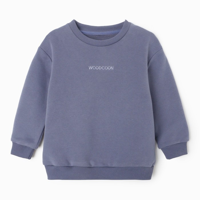 Свитшот детский WOODCOON 9935446, синий, 110