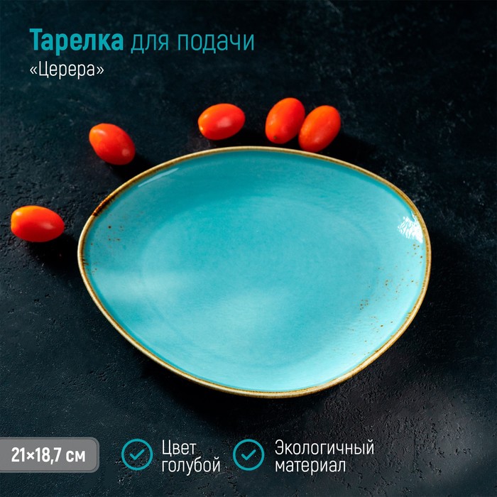 

Блюдо фарфоровое для подачи Magistro "Церера", 21х18,7 см, голубой