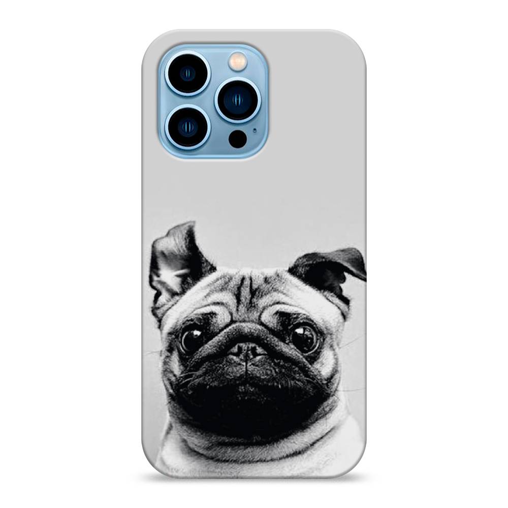 

Пластиковый чехол "Ушастый мопс" на Apple iPhone 13 Pro, 14320-1