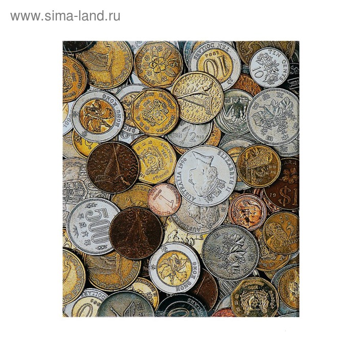 

Альбом для монет на кольцах, формат Оптима 225 х 265 мм Calligrata, входит до 20 л, обл ла, Разноцветный