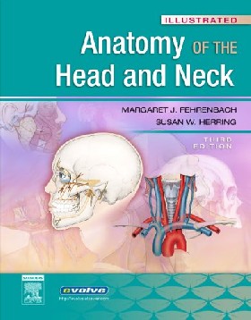 

Illustrated Anatomy of the Head and Neck / Margaret Fehrenbach 2006 г