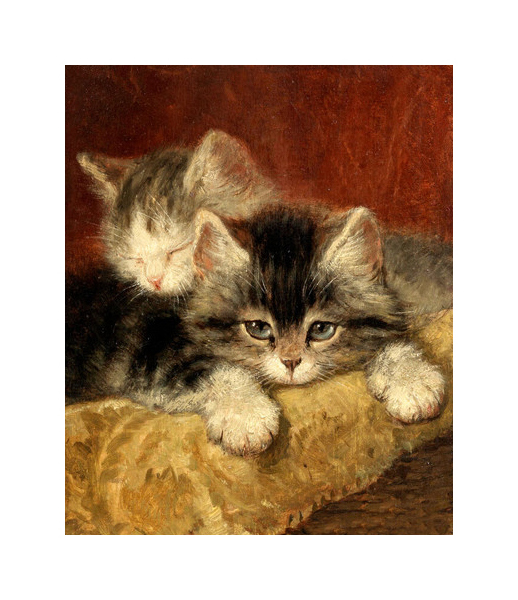 

Картина по номерам Molly Котята KH0307 40x50 см, Котята см