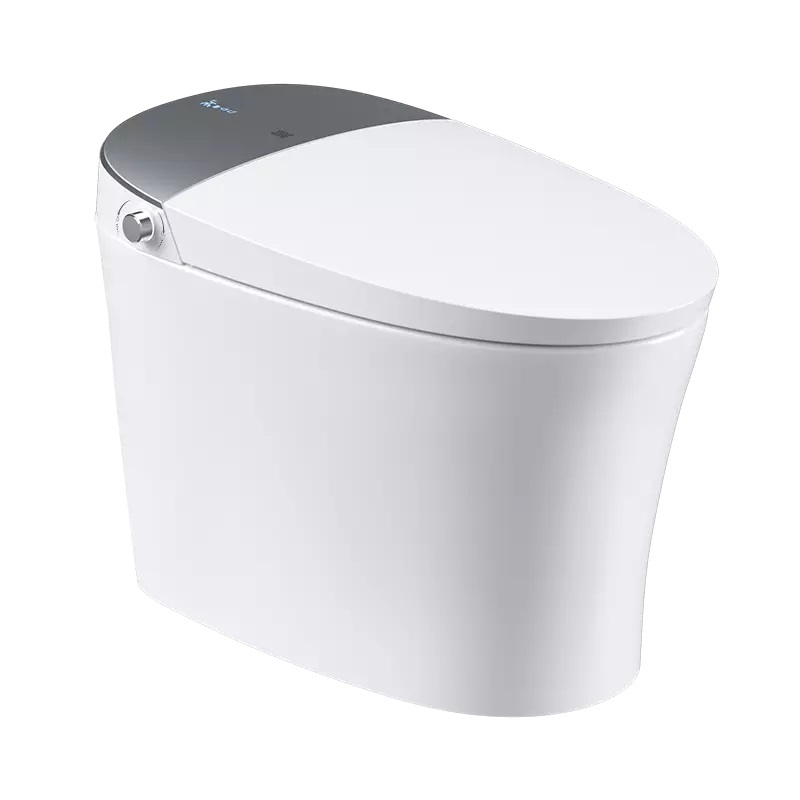 Напольный умный унитаз Diiib DXMT034-305 Yajing Foam Shield Smart Toilet 305 mm 973340