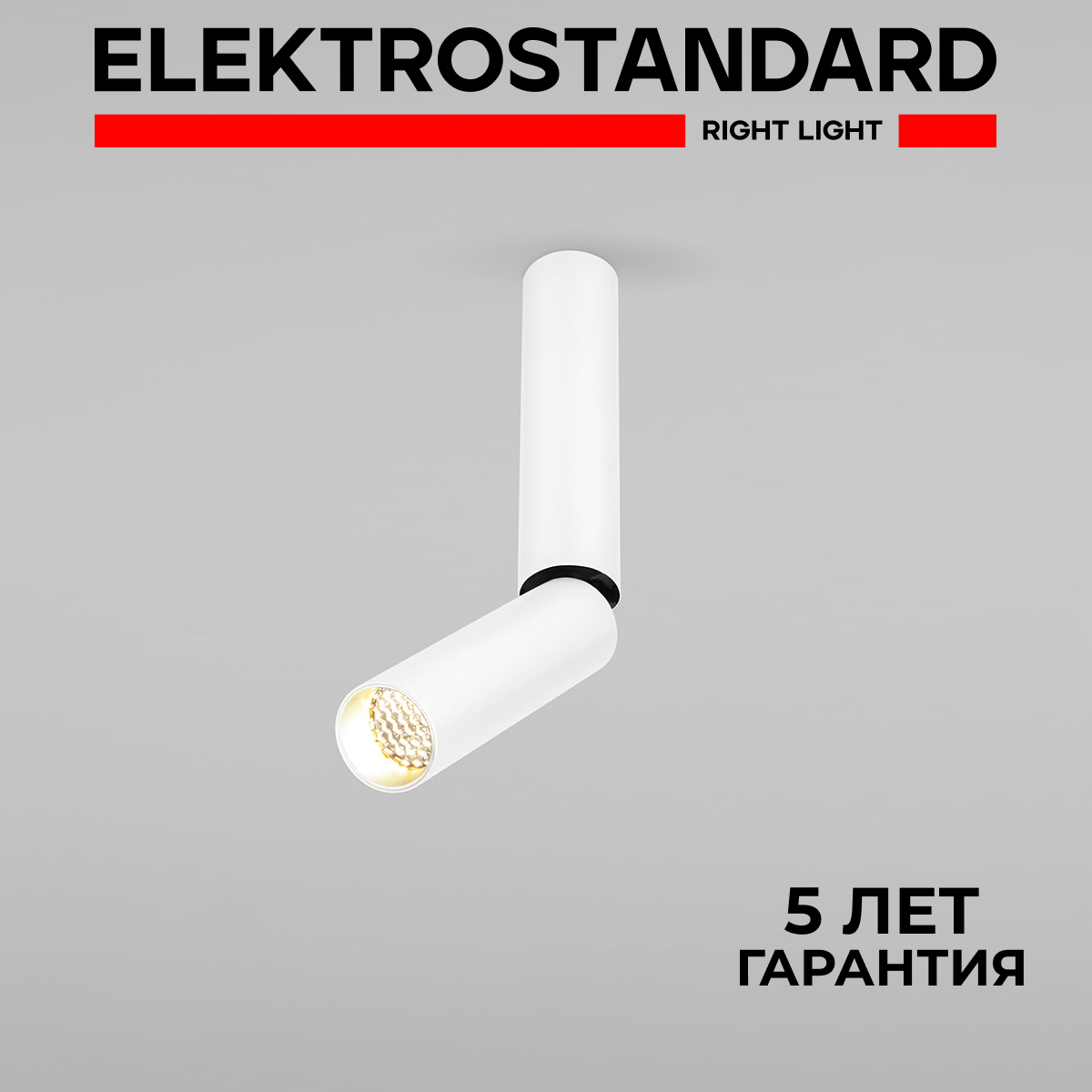 

Накладной поворотный LED светильник Elektrostandard Pika 25029/LED 6W 4200К белый, Pika