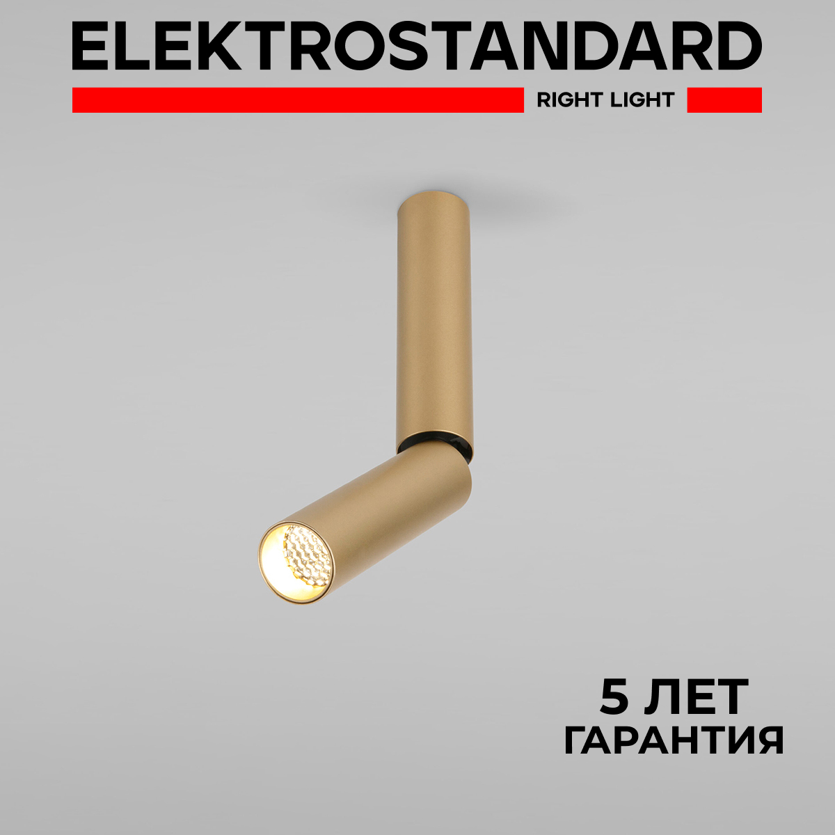 

Накладной поворотный LED светильник Elektrostandard Pika 25029/LED 6W 4200К золото, Pika