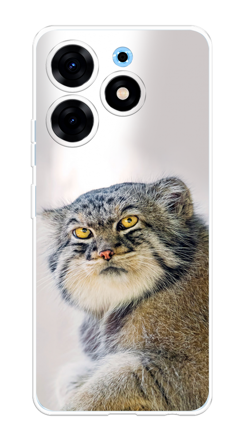 

Чехол Homey на Tecno Spark 10 Pro "Кот манул 1", Серый;белый;желтый, 303750-1