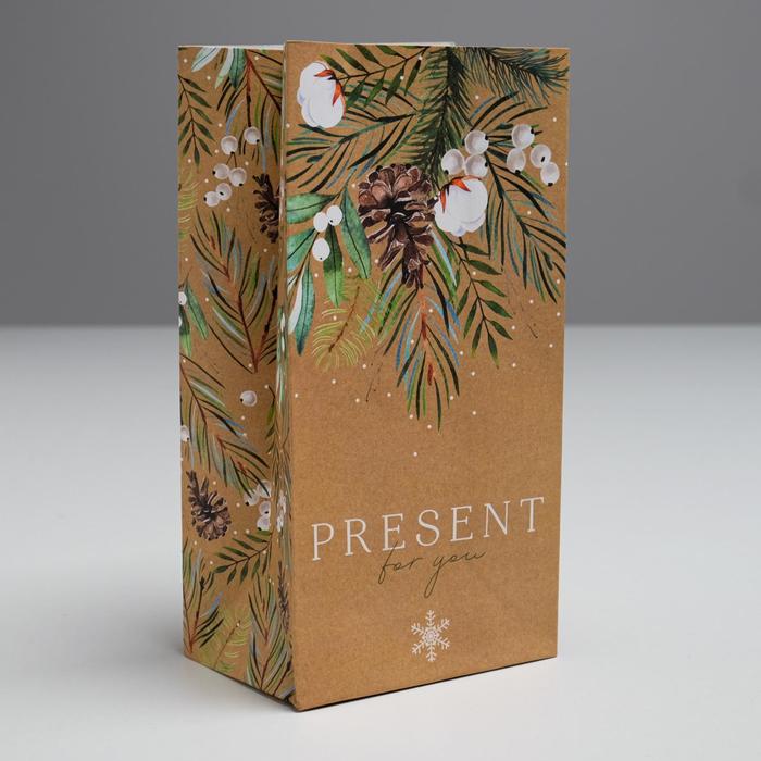

Пакет без ручек Present for you, 10 x 19.3 x 7 см