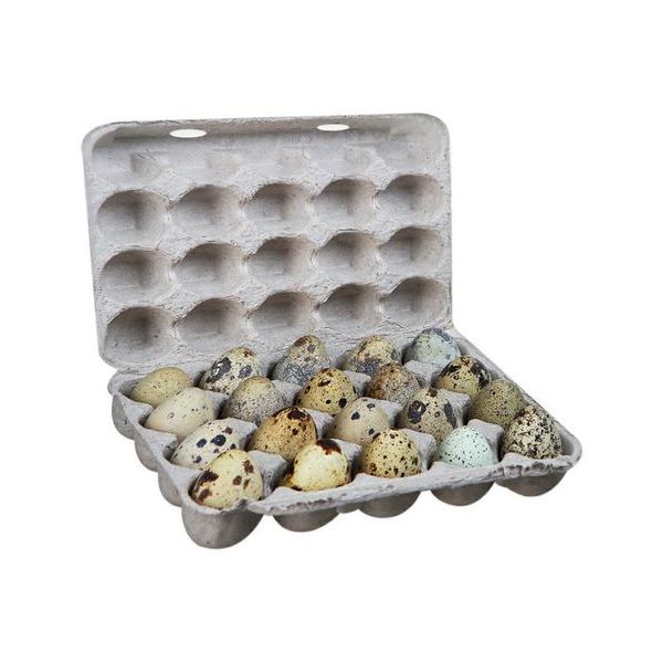 

Яйца перепелиные МясновЪ ФЕРМА столовые 20 шт