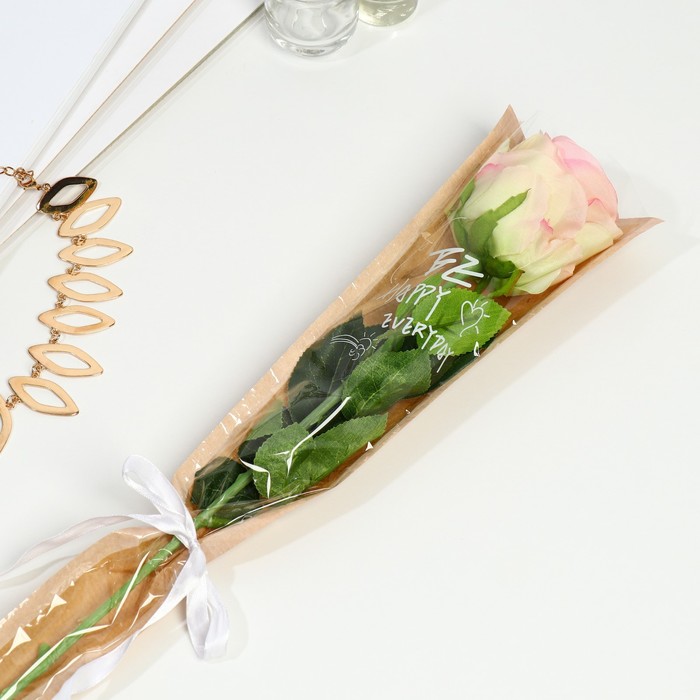 

Пакет для цветов Be happy everyday 12.5х4х45 см (30 шт.), Прозрачный
