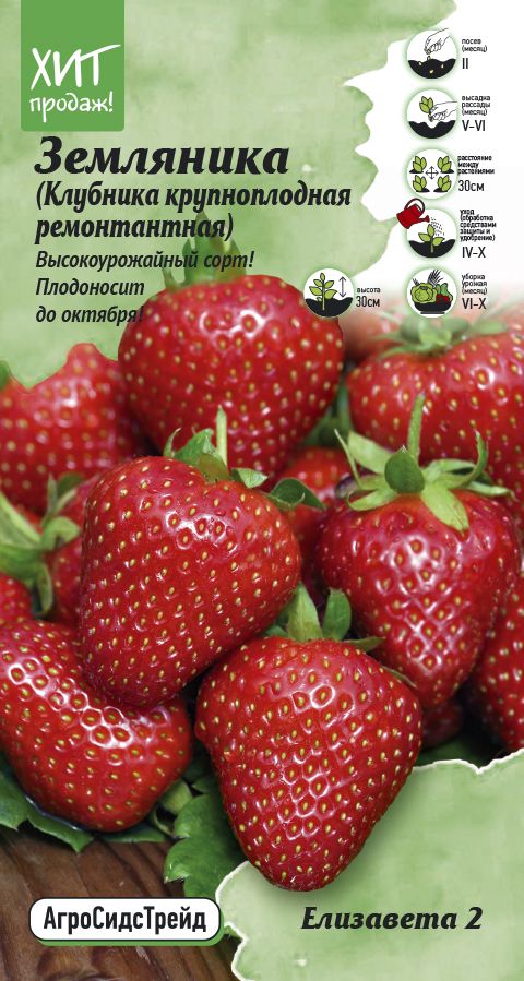 

Земляника Елизавета 2 (Клубника крупноплодная ремонтантная) 0,02г АСТ