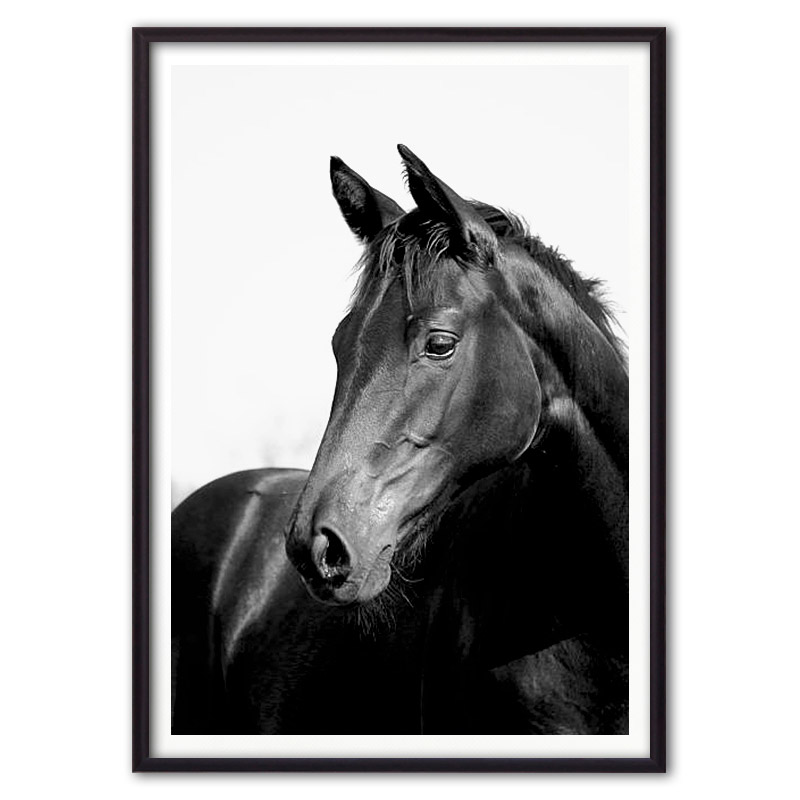 

Постер в рамке Черная лошадь 1 - 50х70 см Дом Корлеоне, Черная лошадь 1
