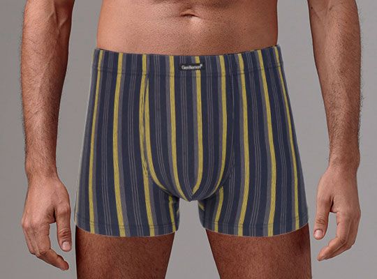 

Трусы мужские Gentlemen GS7868 серые M 1 штука, Серый, GS7868