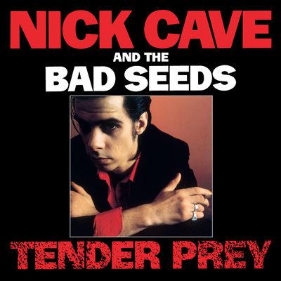 Nick Cave And The Bad Seeds Tender Prey 2LP