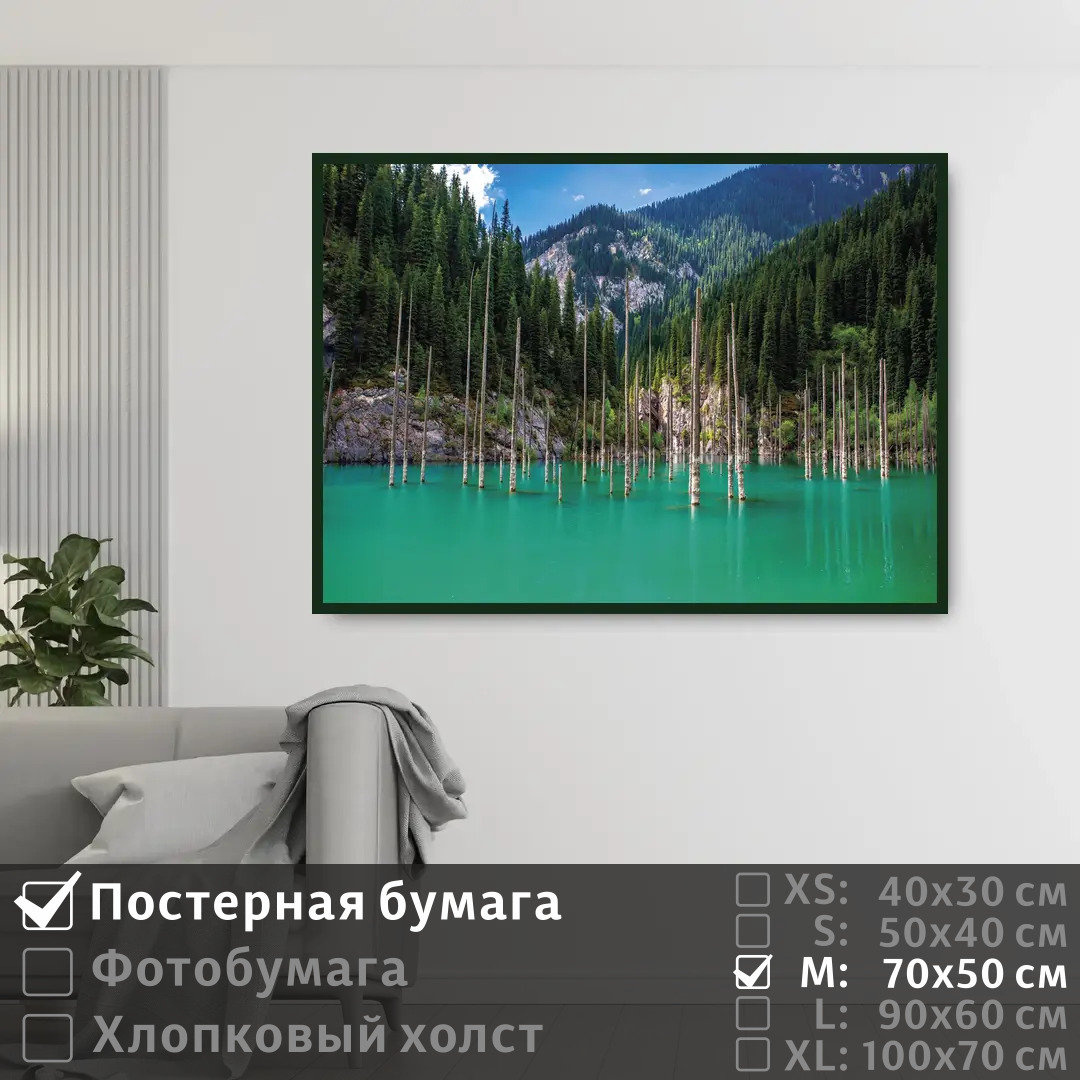 

Постер на стену ПолиЦентр Бирюзовое озеро с сосновым лесом в горах 70х50 см, БирюзовоеОзероССосновымЛесомВГорах