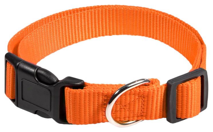 Ошейник для собак Gamma Эталон нейлоновый оранжевый, размер M, 20х310-450 мм