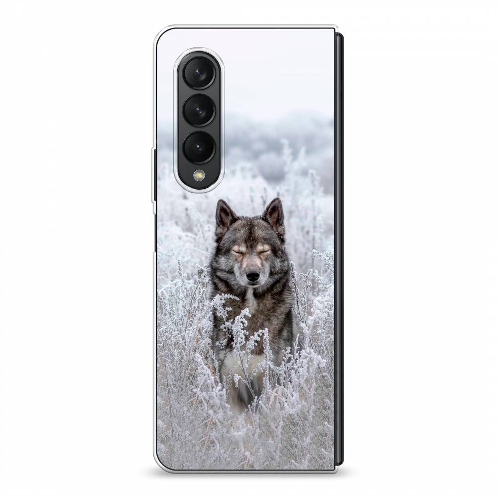 

Чехол Awog на Samsung Galaxy Z Fold 3 / Самсунг Z Fold 3 "Волк в поле", Белый;черный, 2103650-1