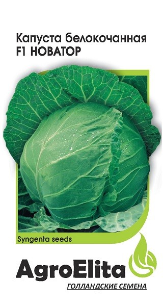 

Семена. Капуста белокочанная "Новатор F1", позднеспелая (10 штук)