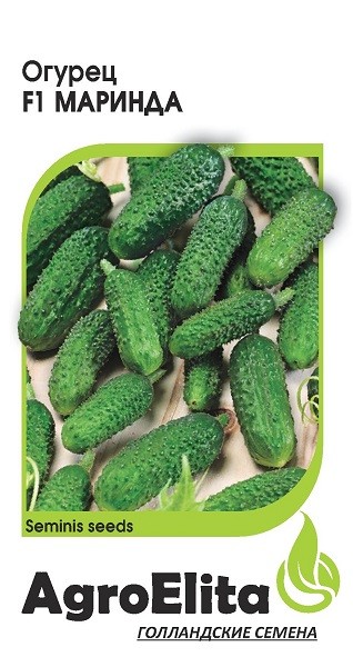 

Семена овощей Гавриш Огурец Маринда F1 партенокарпический 10 шт.