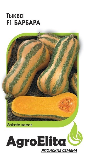 

Семена овощей Гавриш Тыква Барбара F1 мускатная 5 шт.