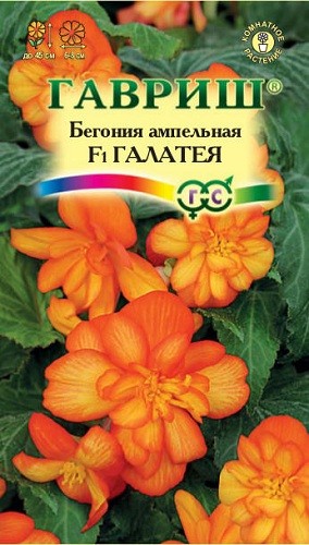 

Семена бегония Гавриш Галатея F1 1 уп.