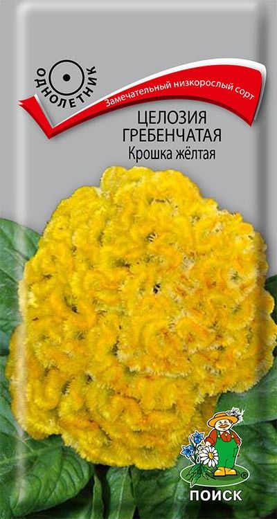 

Семена цветов Поиск 701535 Семена Целозия гребенчатая Крошка жёлтая 0,1 г